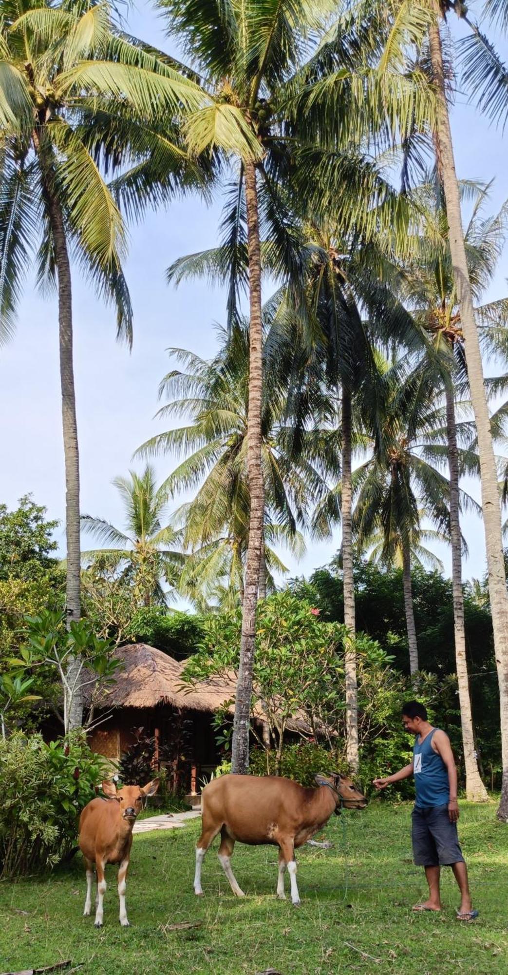 Lendang Eco Lodge Senggigi Exterior photo