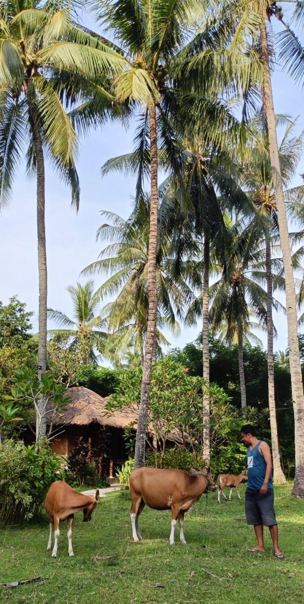 Lendang Eco Lodge Senggigi Exterior photo